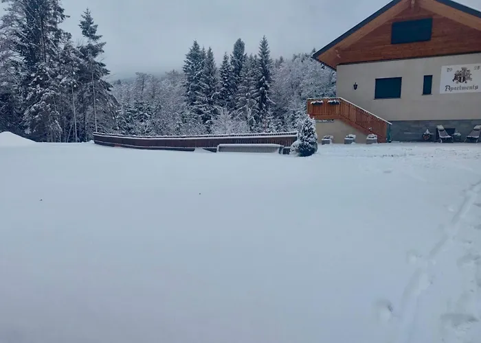 Burgbichl Apartments Rothenthurn zdjęcie